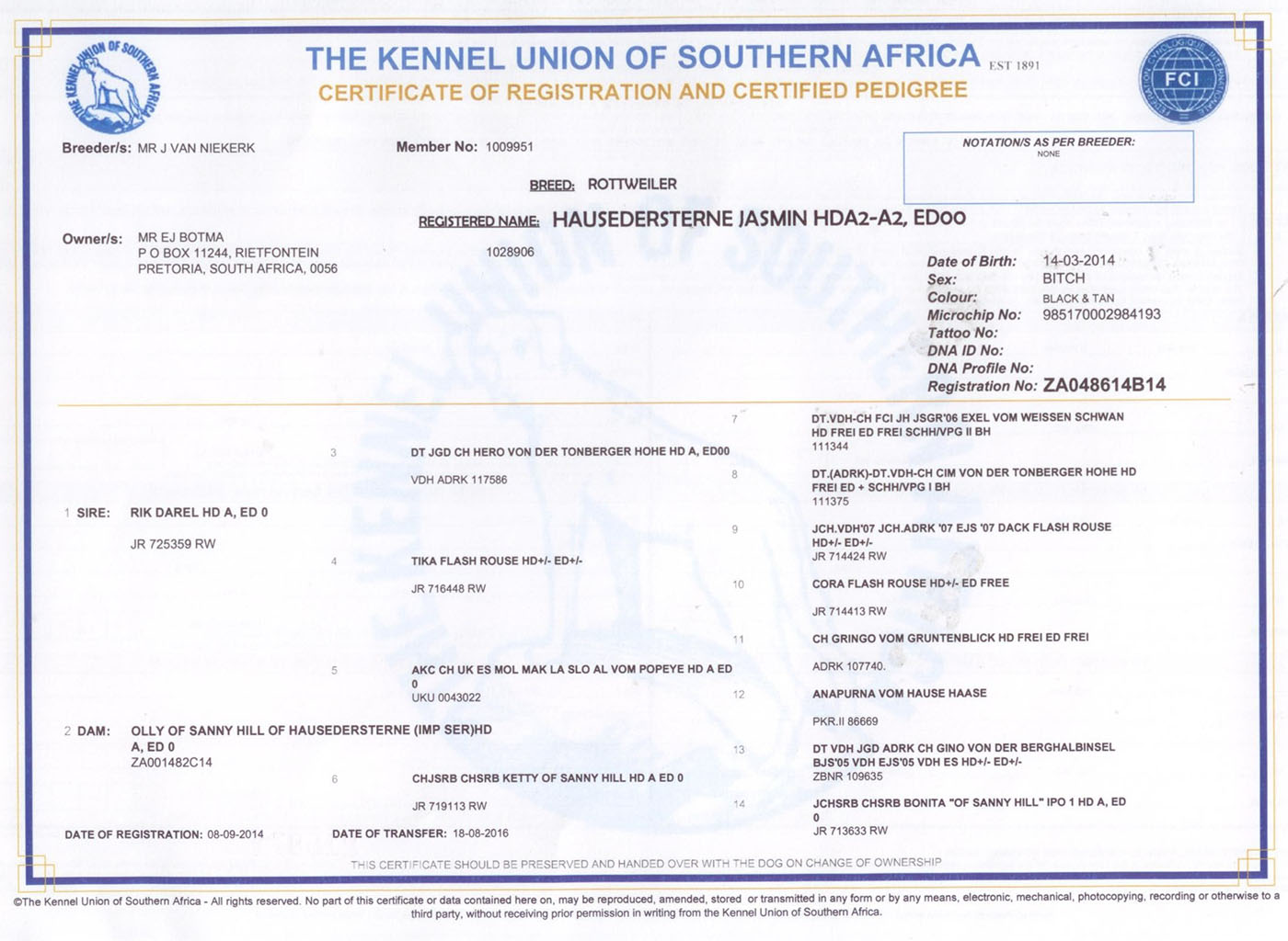 Jasmin KUSA - Pedigree Certificate